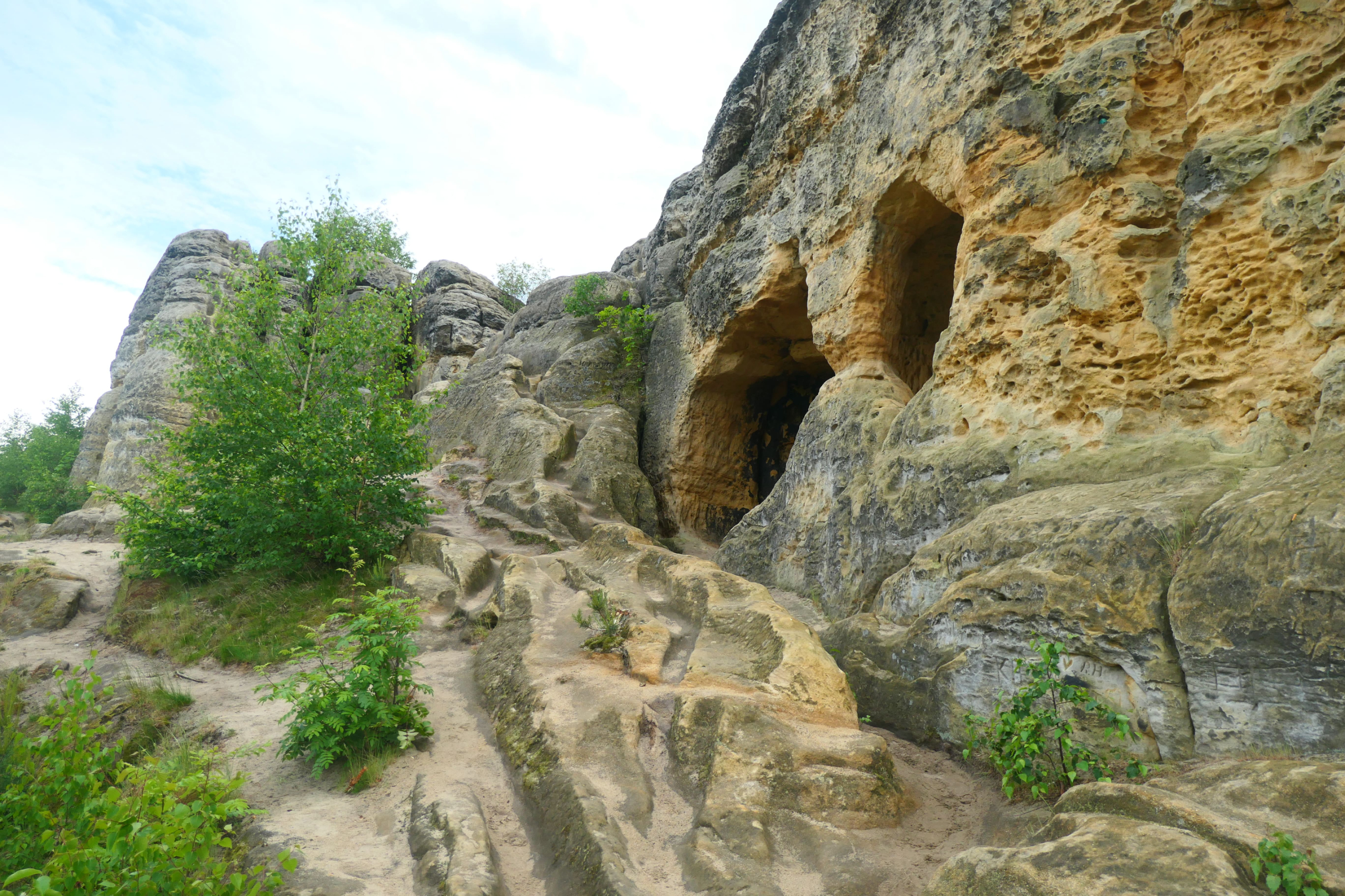 Halberstadt 21